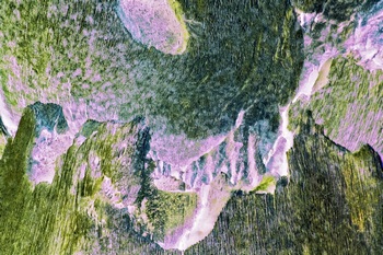 A 16B